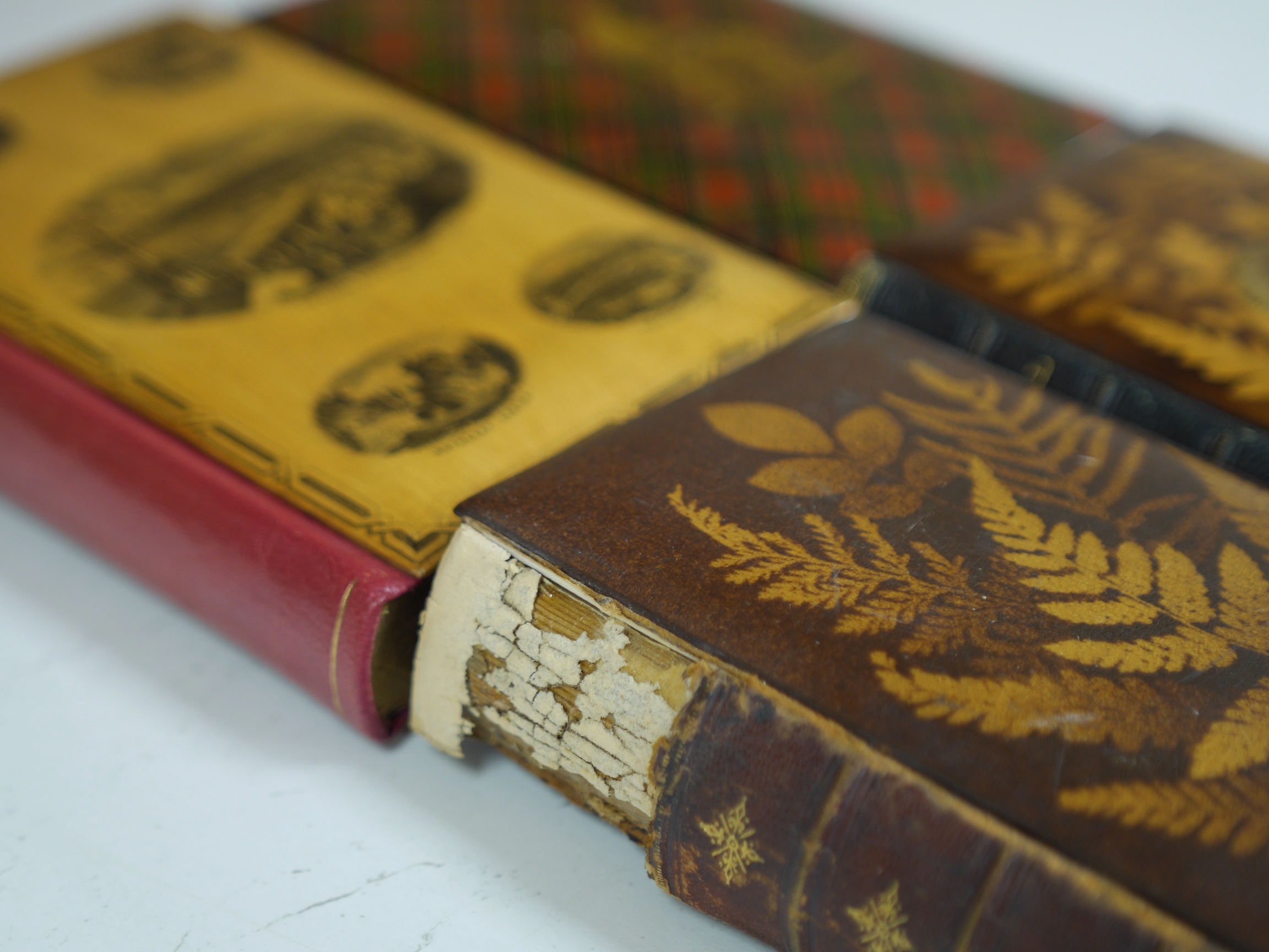 Four Victorian Novelty Bindings; The Poetical Works of Sir Walter Scott in Mauchlineware with vignettes of Rothesay and Pope's Poetical Works in Fernware boards with applied portrait; Scott, Walter - The Lady of the Lake